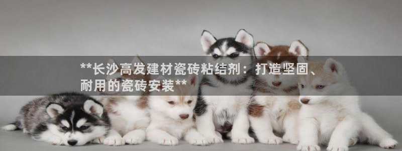 杏鑫平台是黑平台吗