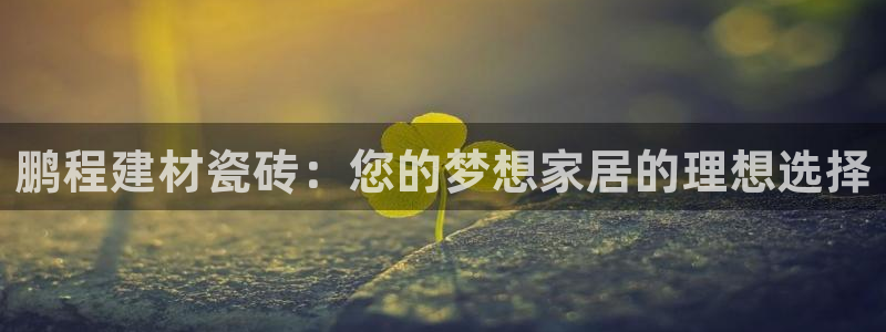 杏鑫手机客户端