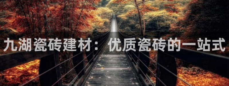 杏鑫平台代理怎么做的