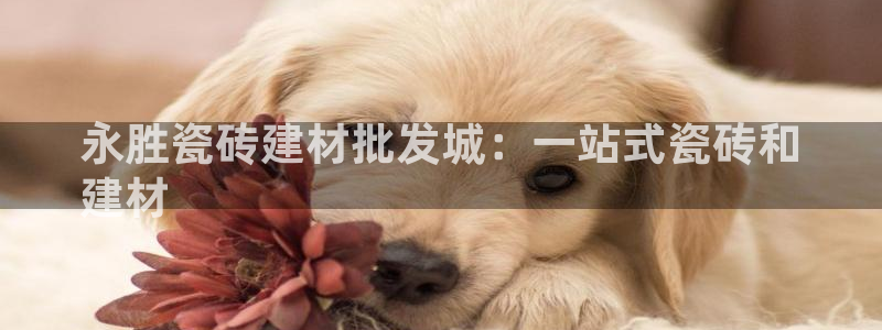 杏鑫官网最新信息新闻