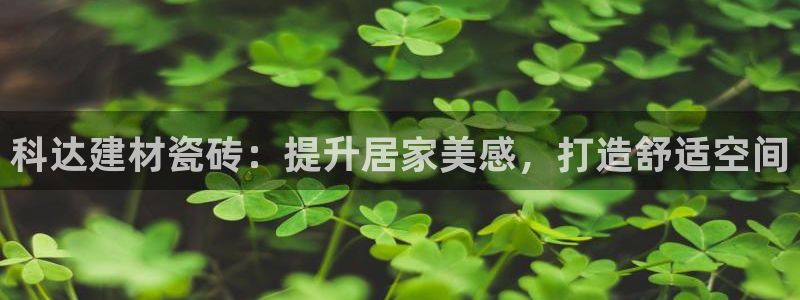 杏鑫平台招商