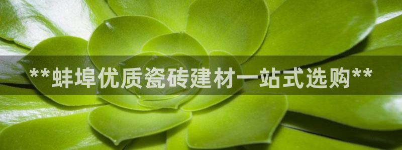 杏鑫平台列7O777