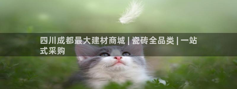 杏鑫娱乐官方网站客户端下载