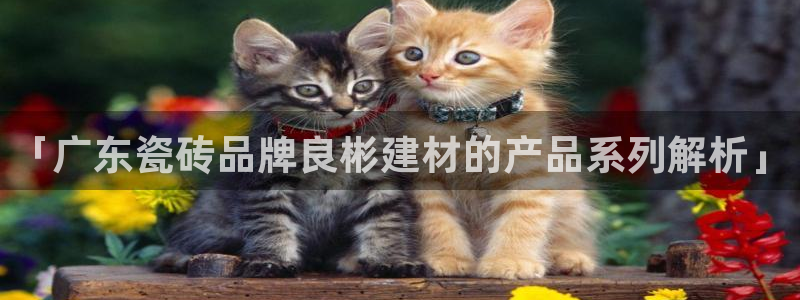 杏鑫娱乐平台登录