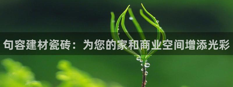 杏鑫平台正规吗可信吗