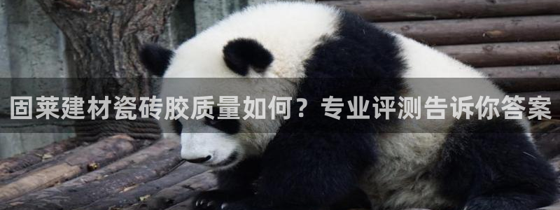 杏鑫平台代理怎么样啊