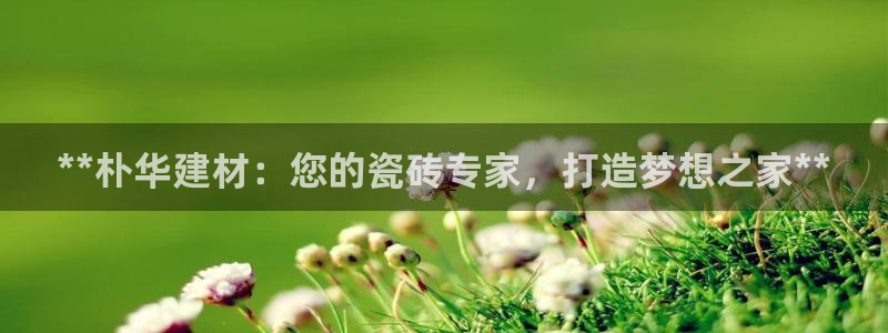 杏鑫平台招商