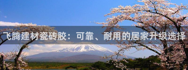 杏鑫平台登录地址查询