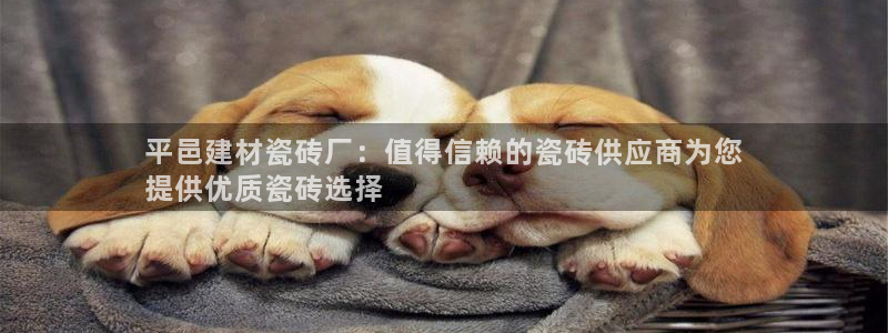 杏鑫娱乐测速