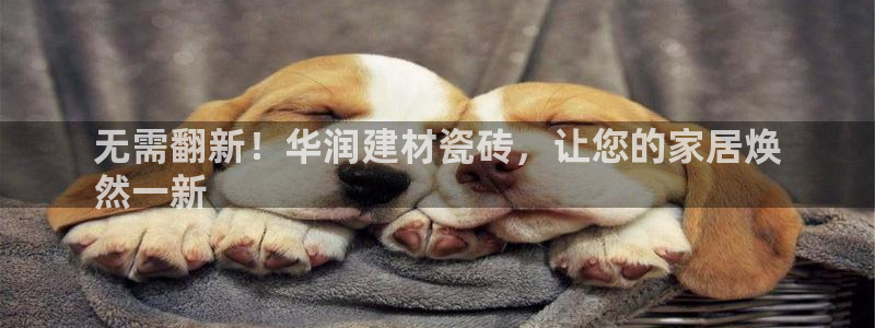 杏鑫平台正规吗可信吗