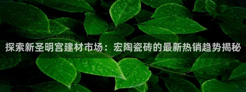杏鑫官方平台怎么样