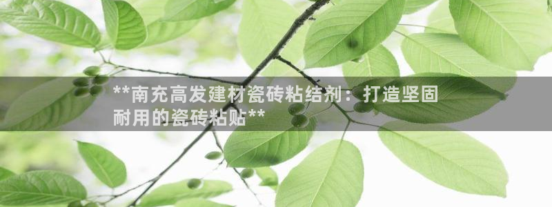 杏鑫官方平台怎么样