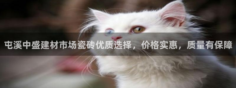 杏鑫平台招商