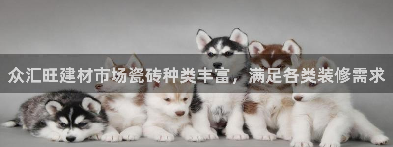 杏鑫平台招商怎么样
