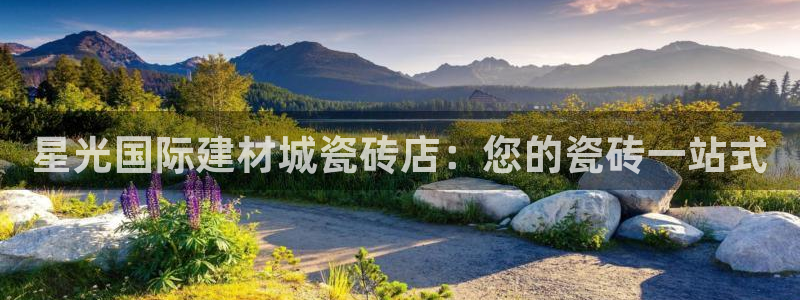 杏鑫主管