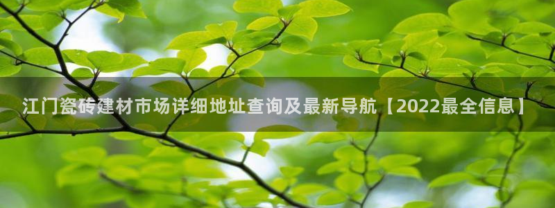 杏鑫有亏损返点吗
