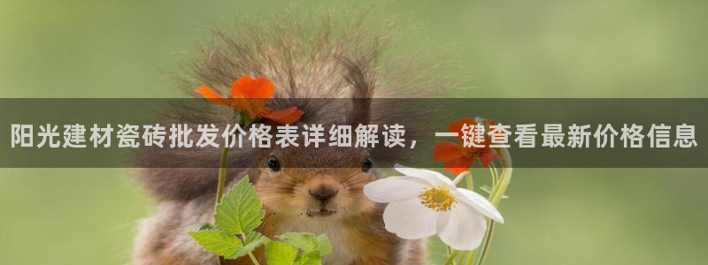 杏鑫平台正规吗可信吗